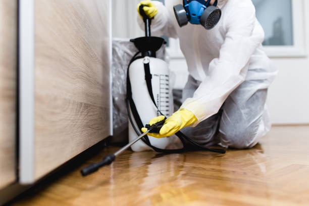 Best Pest Inspection Near Me  in Riverside, IA
