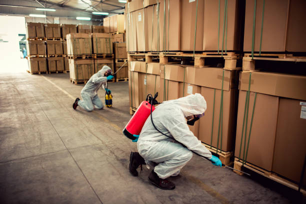 Best Residential Pest Control  in Riverside, IA