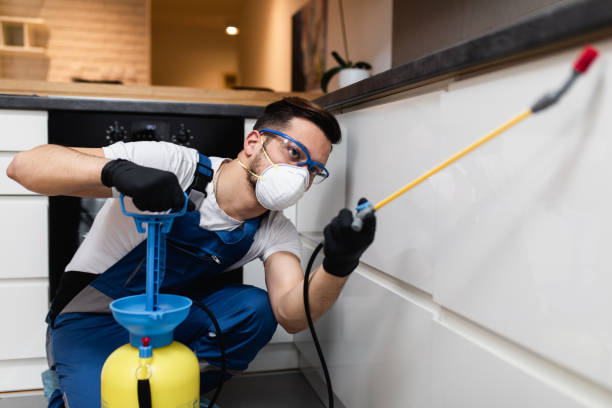 Best Rat Extermination Near Me  in Riverside, IA
