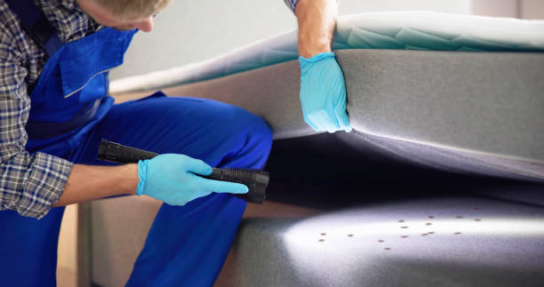 Wasp Removal Services in Riverside, IA