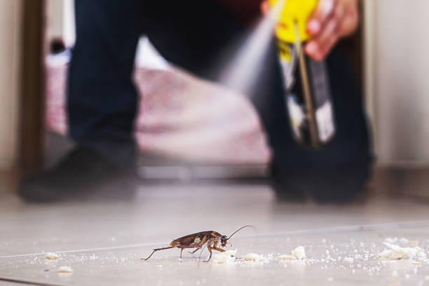 Best Wasp Removal Services  in Riverside, IA