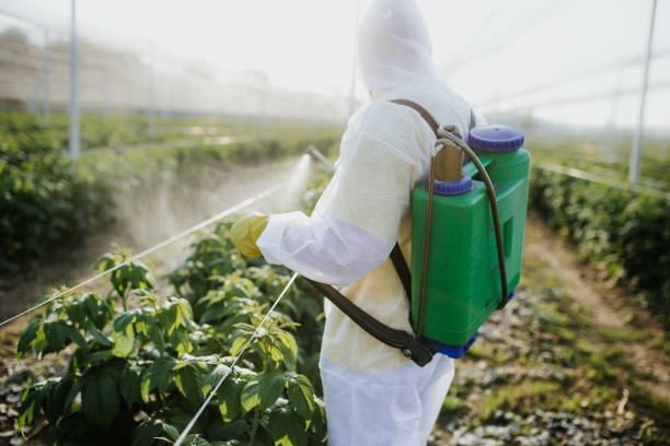 Best Wasp Removal Services  in Riverside, IA